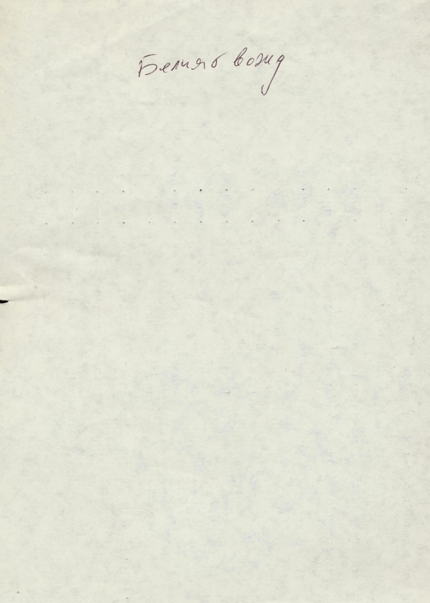 Белият вожд