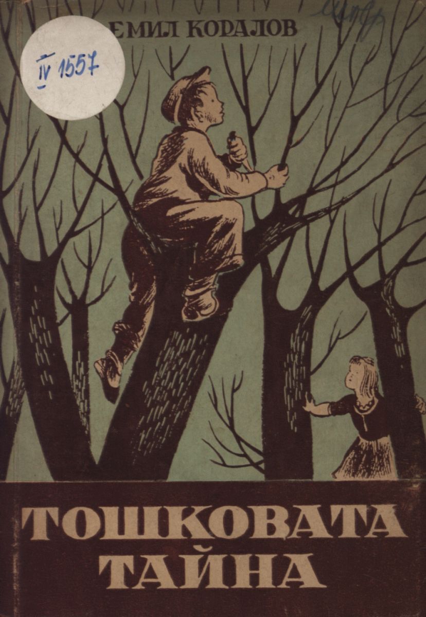 Тошковата тайна