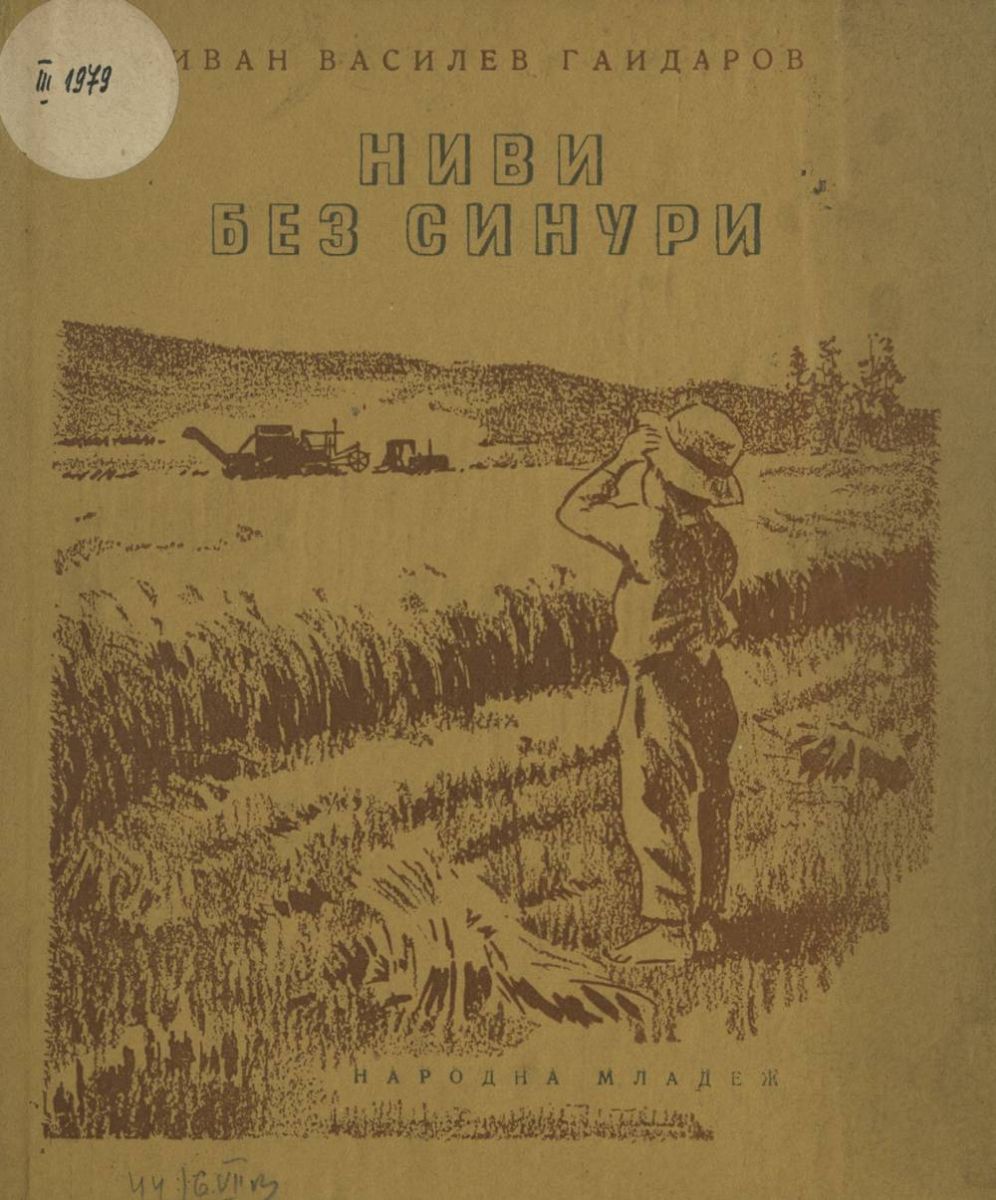 Ниви без синури